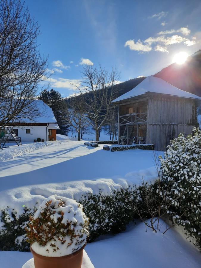 Apartmán Attwengerhof Traunkirchen Exteriér fotografie