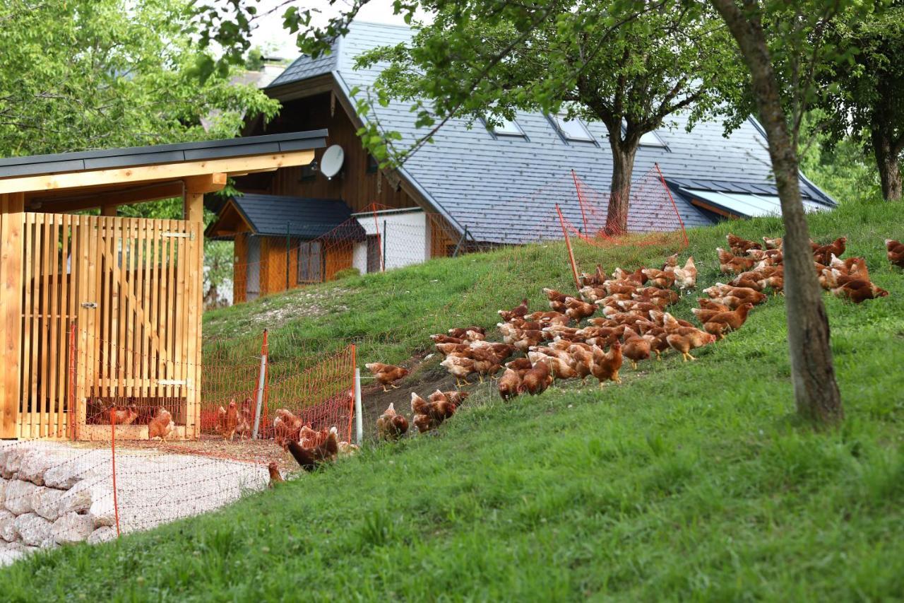 Apartmán Attwengerhof Traunkirchen Exteriér fotografie