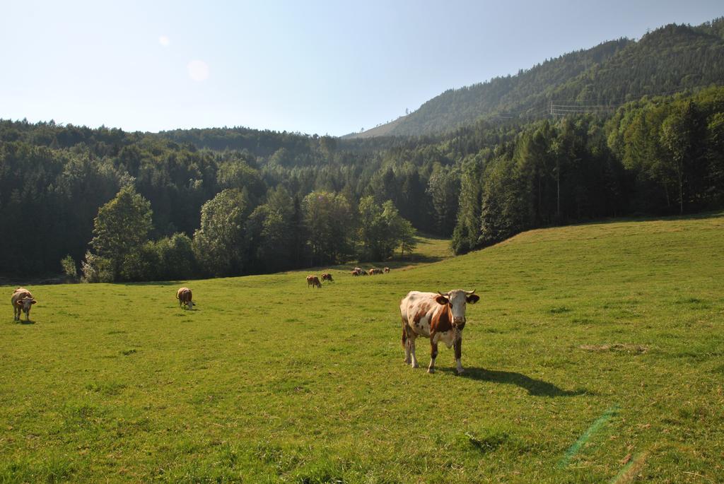 Apartmán Attwengerhof Traunkirchen Pokoj fotografie