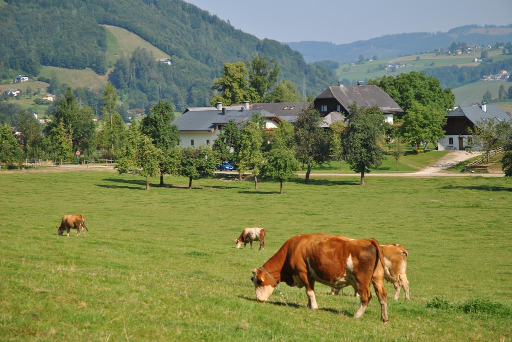 Apartmán Attwengerhof Traunkirchen Exteriér fotografie
